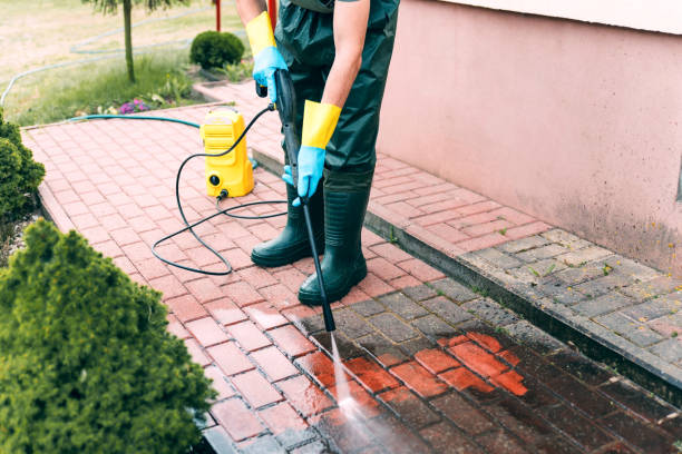 Best Dumpster Area Cleaning  in Strawberry Plains, TN